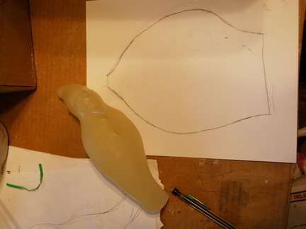 4. The Dip Seal shell has been spread out as flat as possible on a sheet of paperand traced around with a pencil.